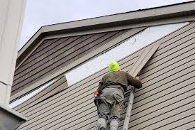 Best Siding Painting and Refinishing  in Lake Waynoka, OH